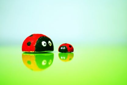 cute ladybug craft ideas