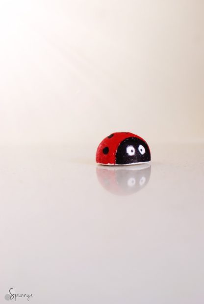 idée bricolage DIY coccinelle