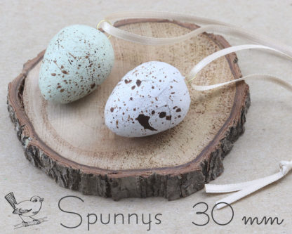 Blank quail eggs to paint and decorate SPUNNYS